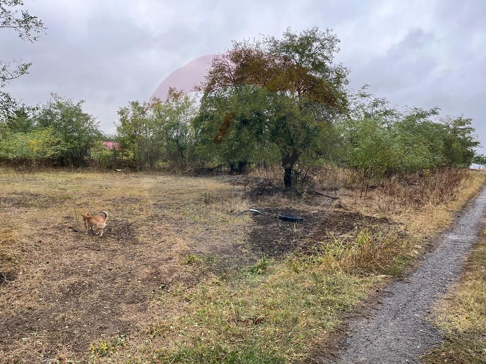 Land 1,700sqm Polcesti / Strada Crângului