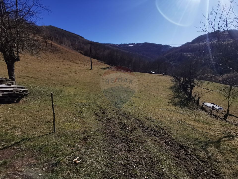 De vânzare teren intravilan 10,100 mp, cu anexă, Munteni