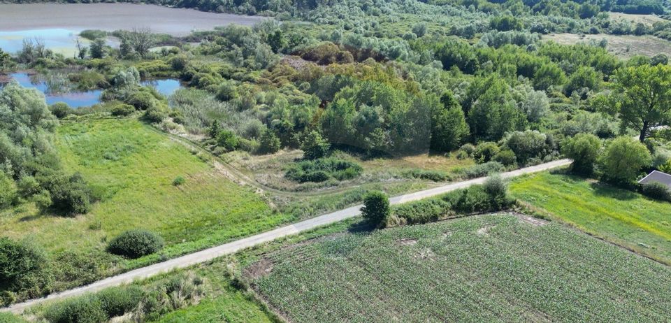 Land 17,300sqm Lugoj / Intrarea Lacul Surduc