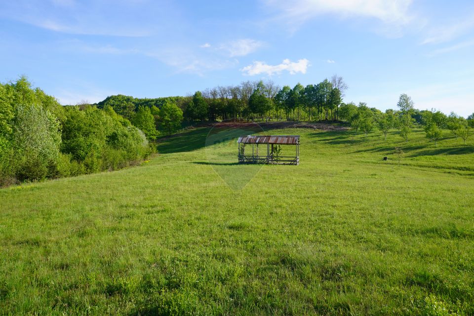 Land 15,000sqm Sighetu Marmatiei / Strada Mocăniței