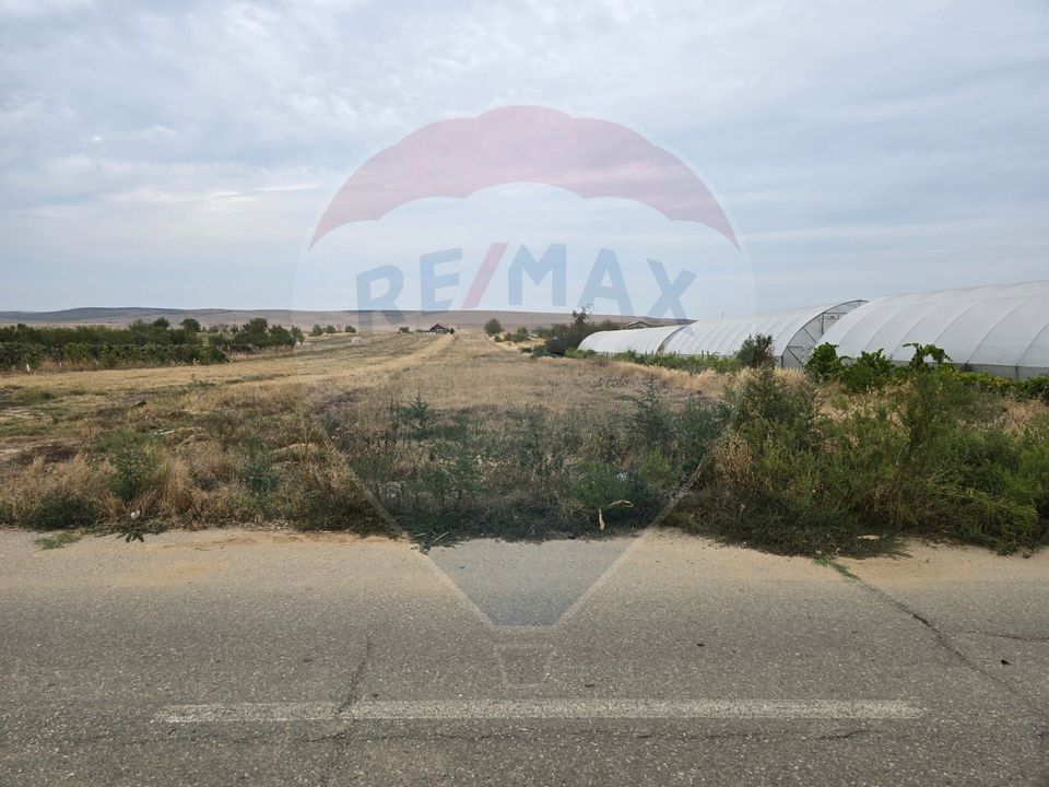Land 5,000sqm Isalnita / None
