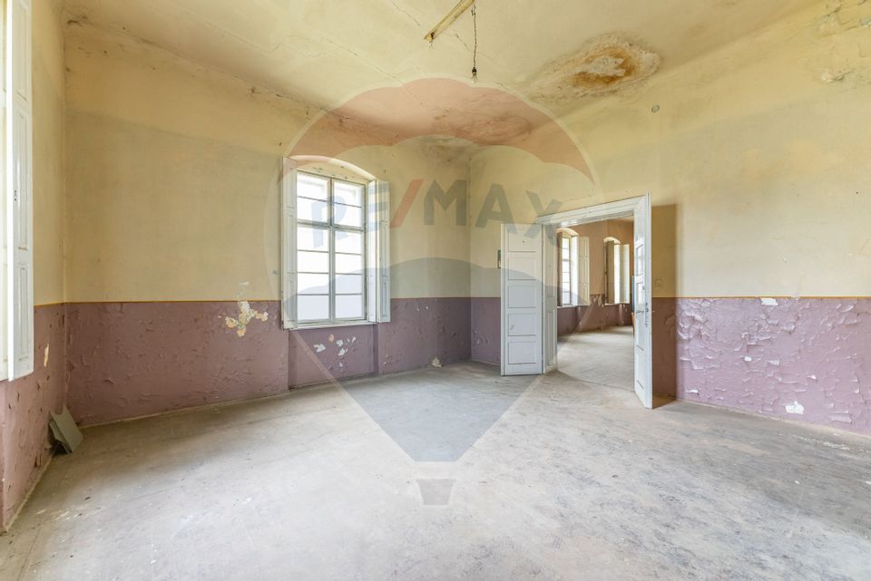 Conac aristocratic secolul XIX , domeniu  2,5 hectare — Păuliș, Arad