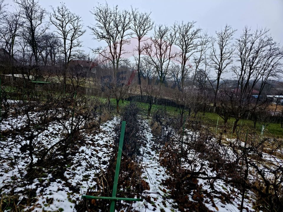 Land 4,516sqm Doina / Strada PRINCIPALA