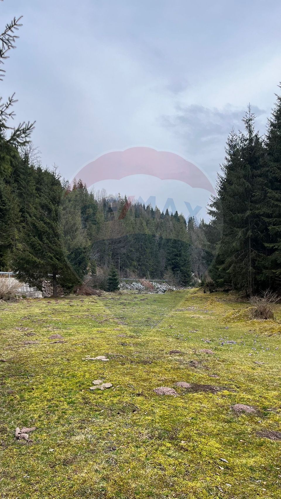 Arieșeni–Strada Fața Cristesei -Teren 4.331 mp cu Peisaj de Poveste