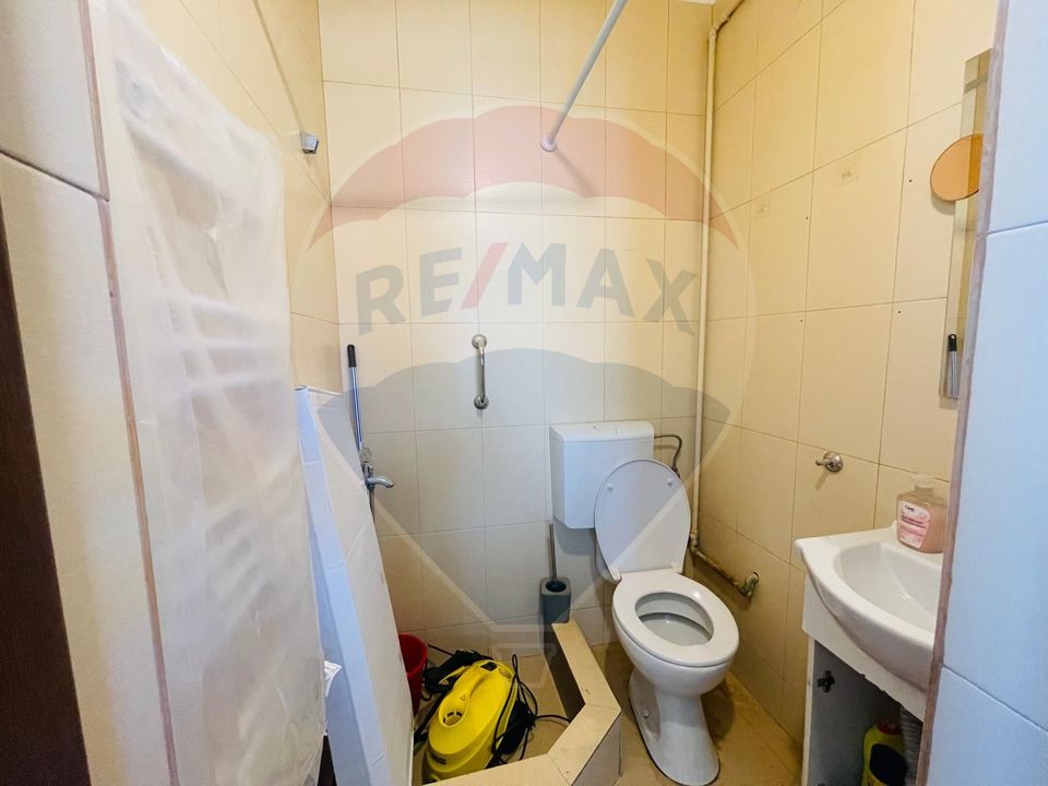 6 room House / Villa for rent, Calea Dumbravii area