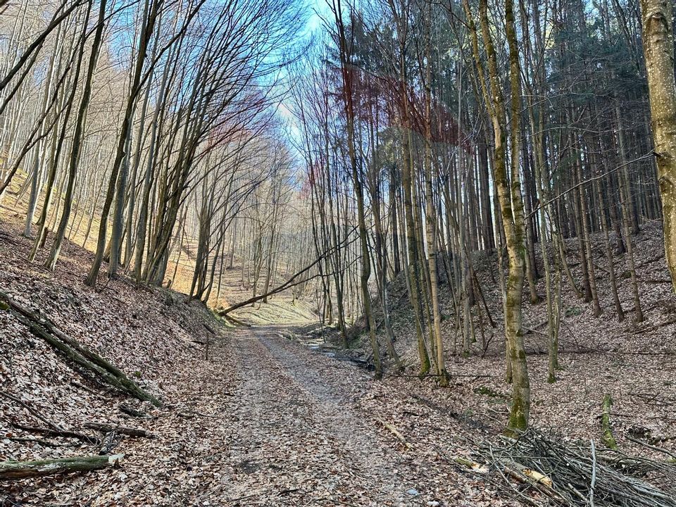 Teren de vanzare 53,723mp Codlea / Nord-Vest