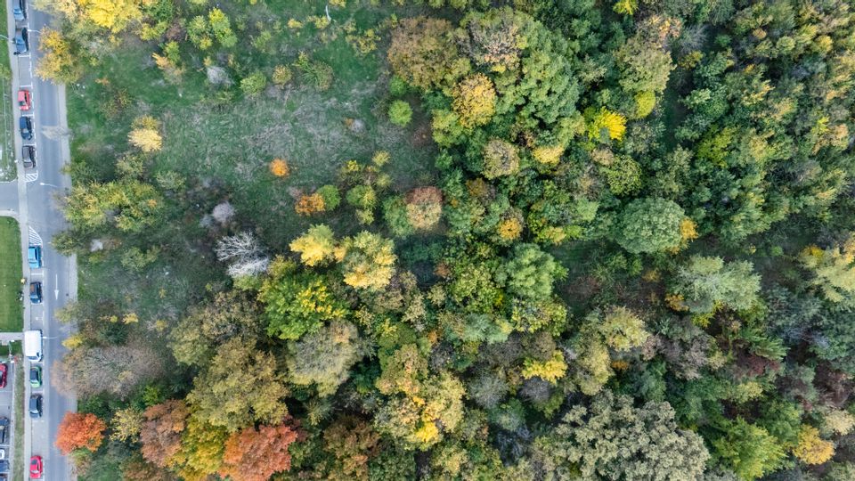 Vanzare Teren 1,800mp Vacaresti-Tinetretului