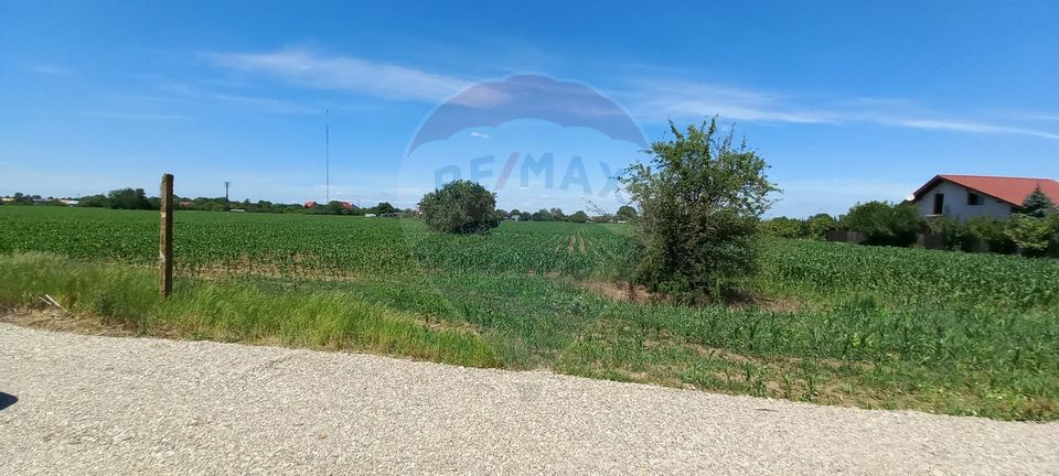 Land 4,370sqm Vladiceasca / Soseaua Vladiceasca