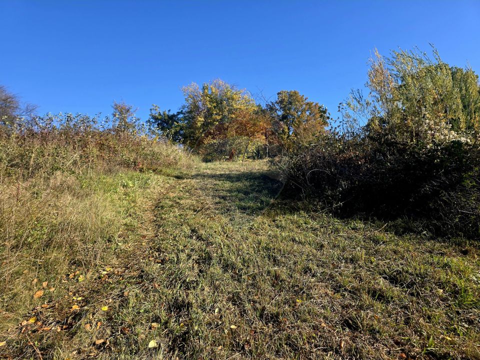 5 room House / Villa for sale