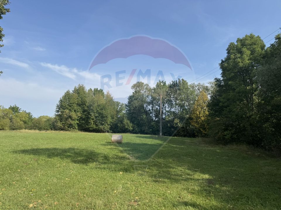 Teren 10.000 mp Calatele – Apuseni, langa rau, ideal investie turism