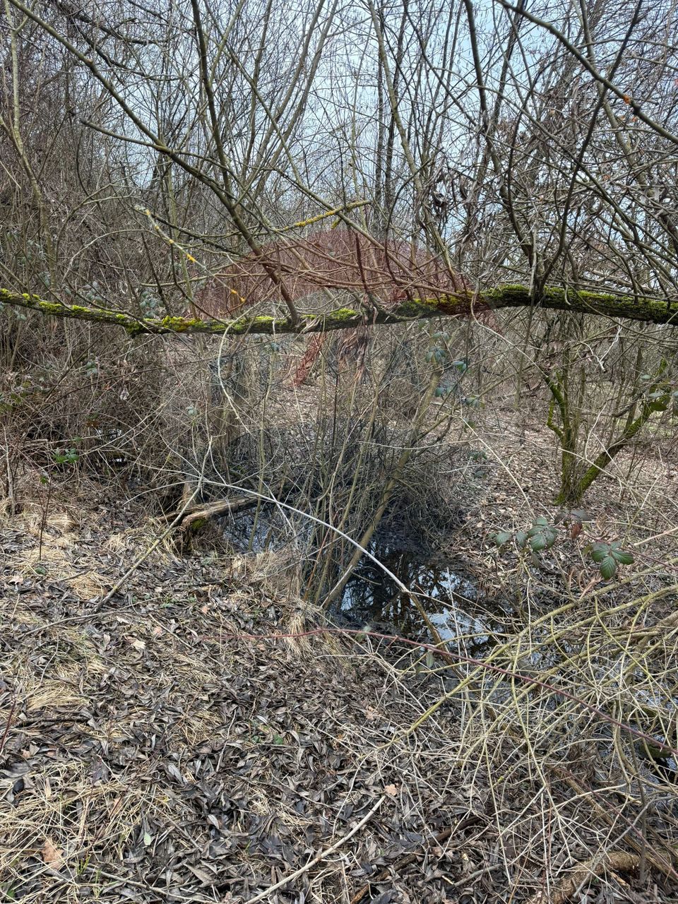 DE VANZARE Teren Strada Victoriei Baia Mare