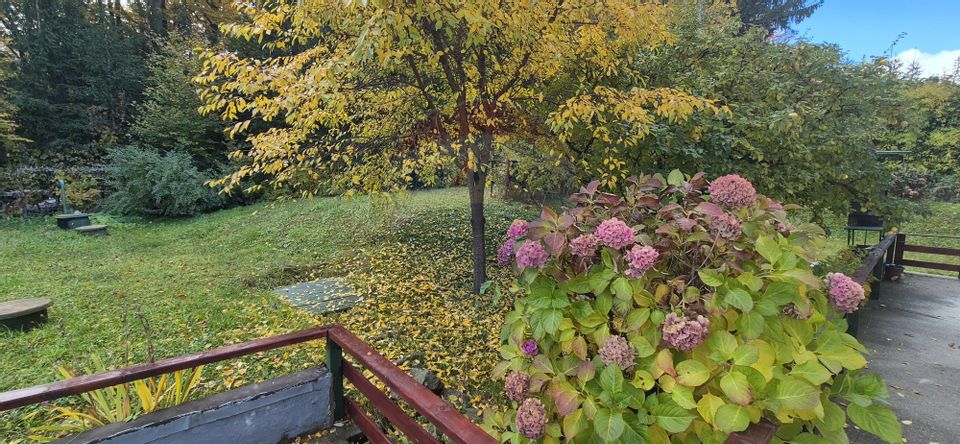 Oferta! Pensiune cu 7 camere de vânzare/ Poiana Marului