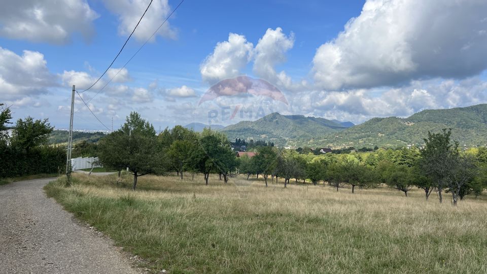 Land 5,155sqm Baia Sprie / Strada Dragos Voda