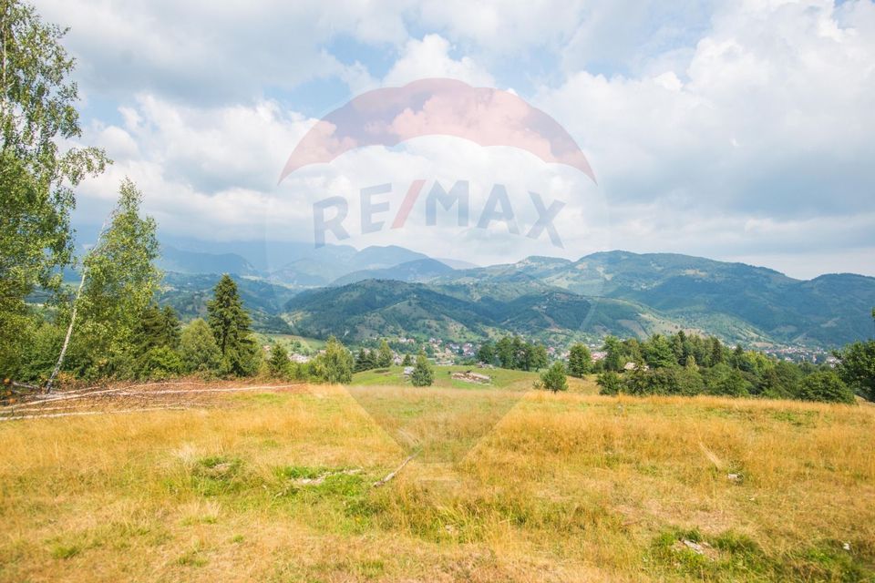 Teren extravilan Moieciu 45316mp