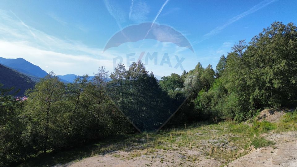 Land 5,174sqm Bran / Strada Colibasilor