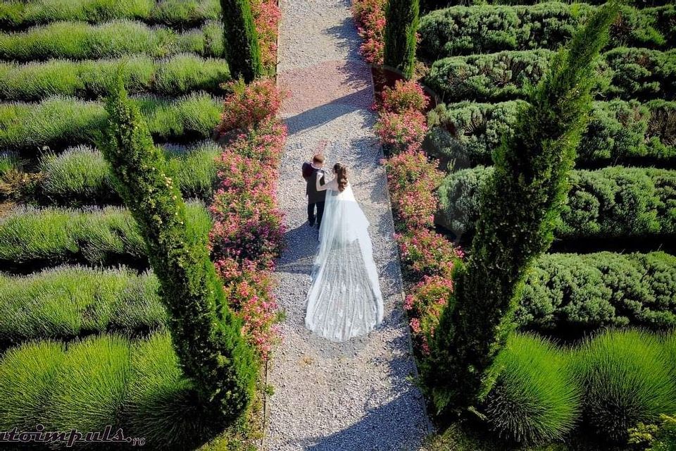 Oportunitate Investiție - Lavender Farm – Santăul Mic