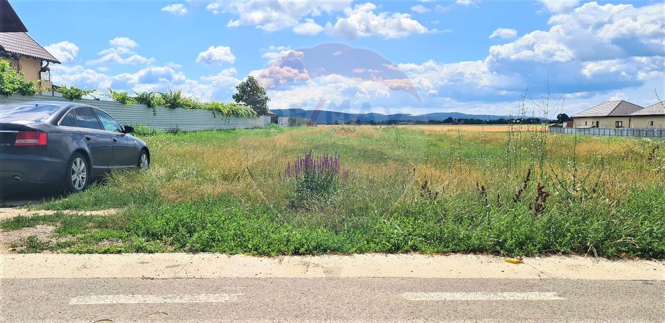 Teren de vanzare in Serbanesti