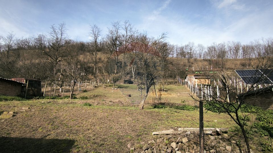 Casă  la țară in Transilvania - sat sasesc Păucea, jud. Sibiu