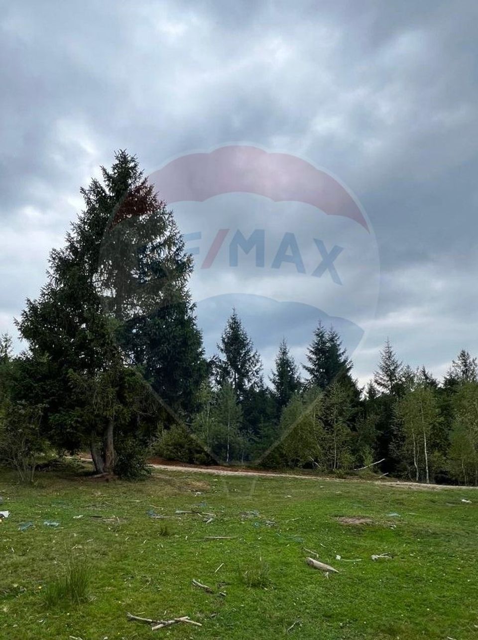 Teren extravilan parcelabil Călățele Pădure, zona Dealu Negru