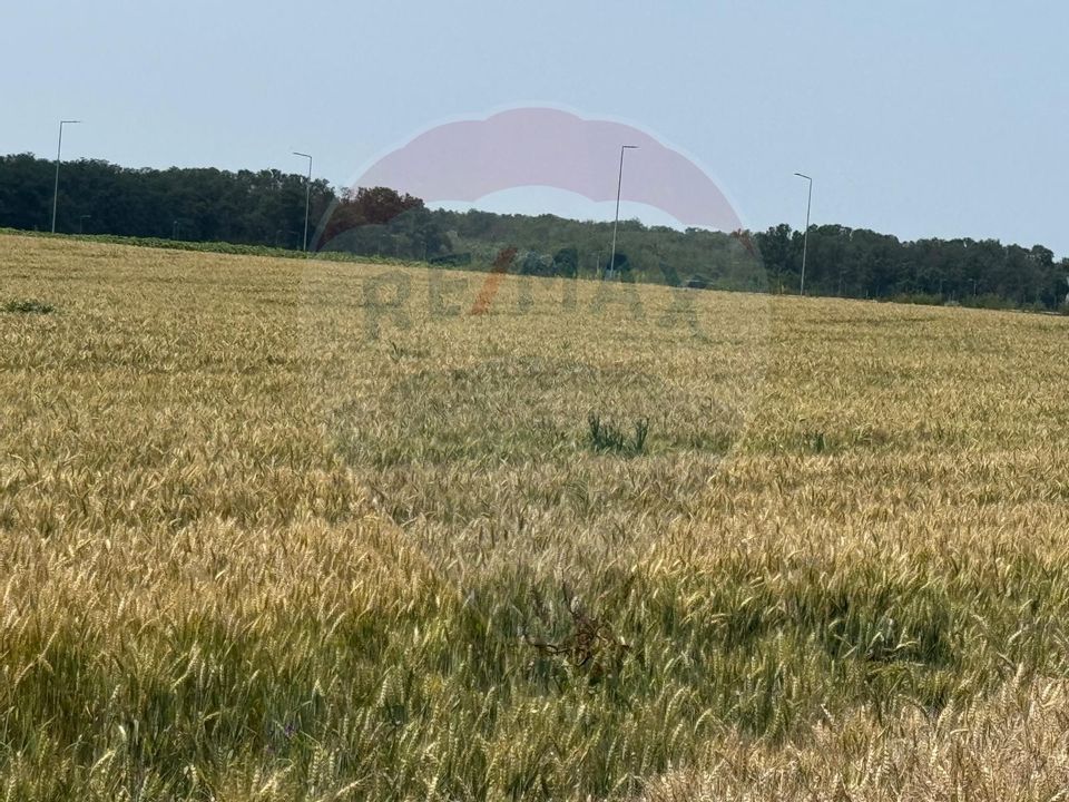 Land 10,164sqm Vadu Anei / Est