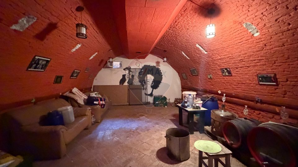 6 room House / Villa for sale, Ultracentral area