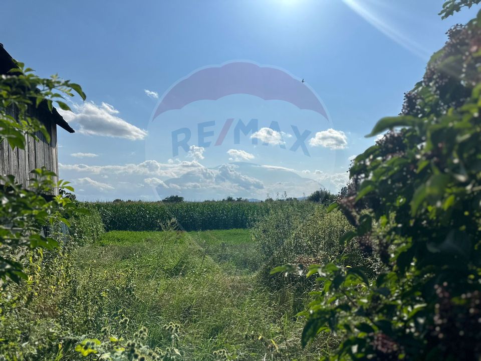 Land 3,765sqm Bodestii de Jos / Strada Precista