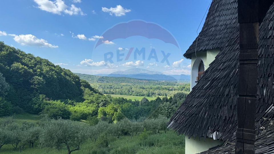 Proprietate de Vânzare în Berchezoaia Maramureș–Oază de Liniște-Naturǎ