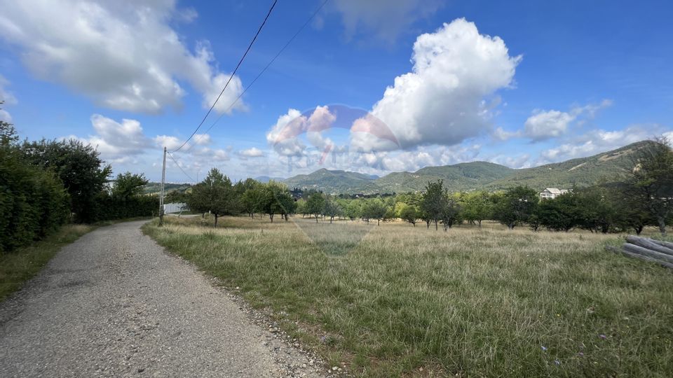 Land 5,155sqm Baia Sprie / Strada Dragos Voda