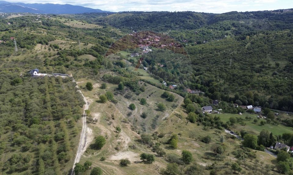 Land 33,598sqm Campulung-Muscel / Strada Colonel Alexandrescu