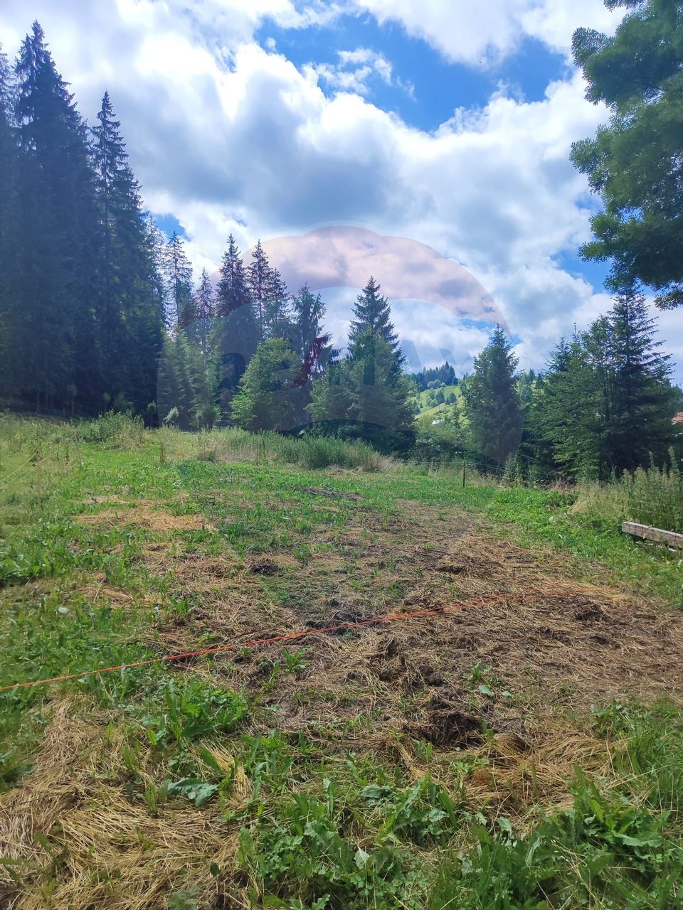 Teren in Bucovina, intravilan 3824 mp Deia-Frumosu, Suceava