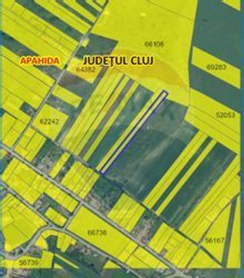 Teren Apahida / Sat pata