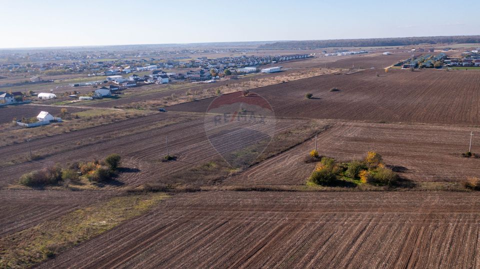 Land 7,400sqm Sabareni / Strada Primaverii
