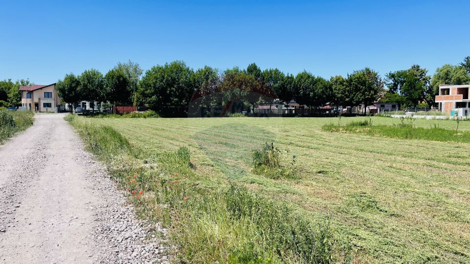 Teren intravilan 10.000 mp în Stupini, Brașov