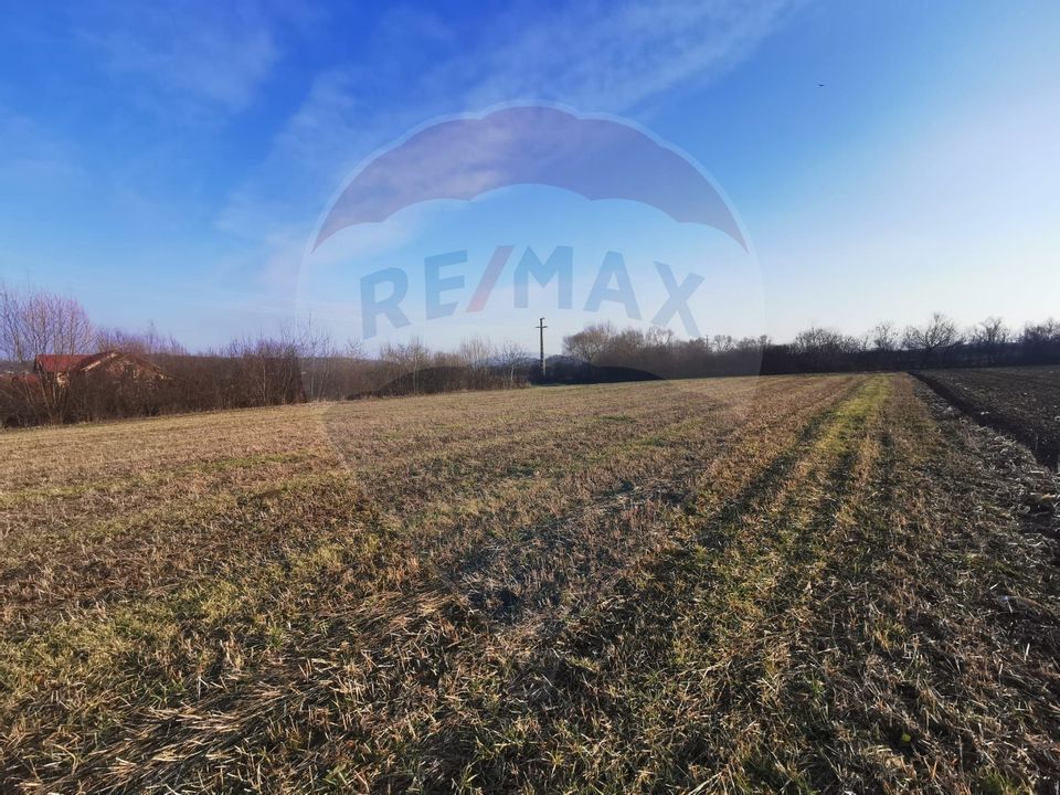 Land 4,400sqm Finteusu Mare / Stradela Principala