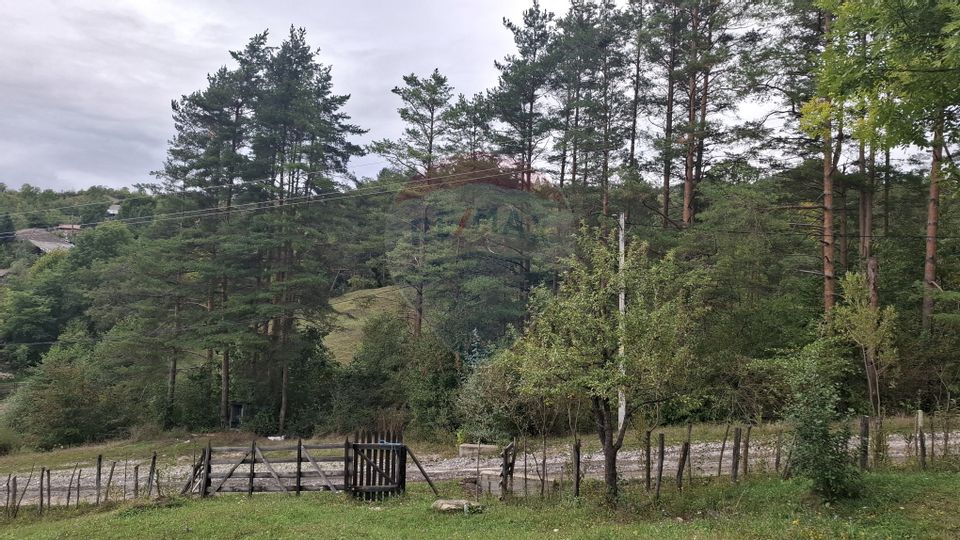 Teren cu priveliste spectaculoasa, 4000mp, la 18km de Sinaia