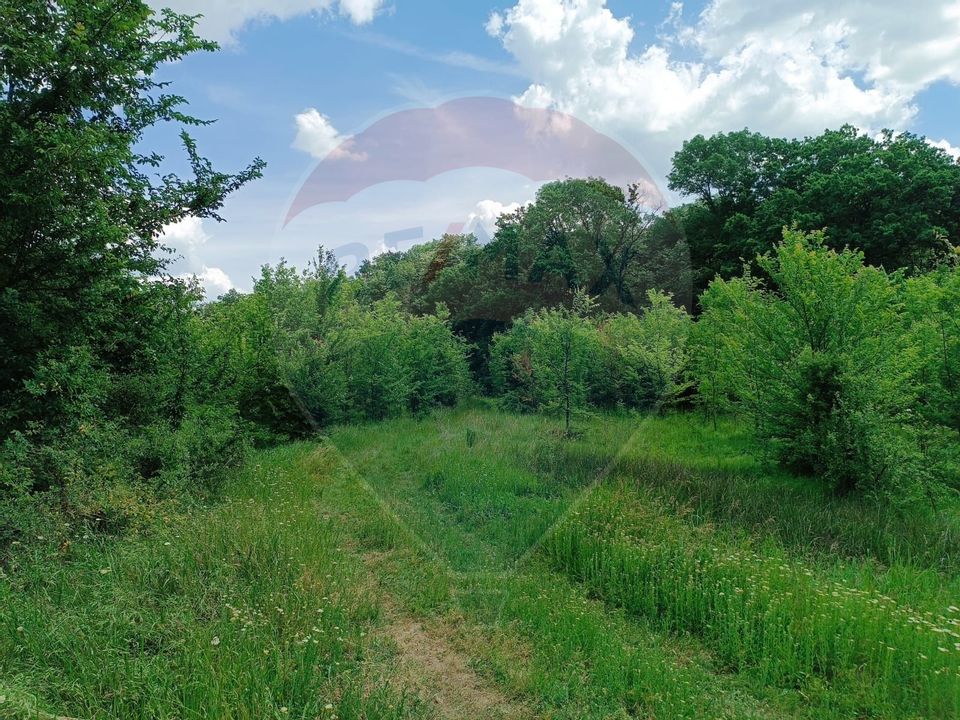 Land 1,870sqm Balteni / Strada Biserica Sfantul Stefan