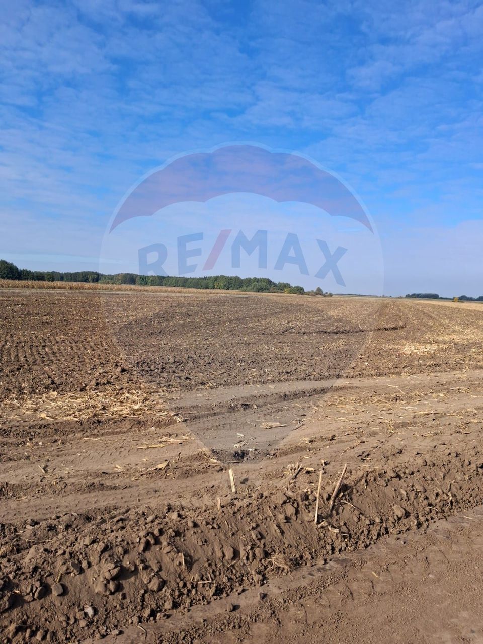 Teren 21,177mp Santaul Mic / Strada -