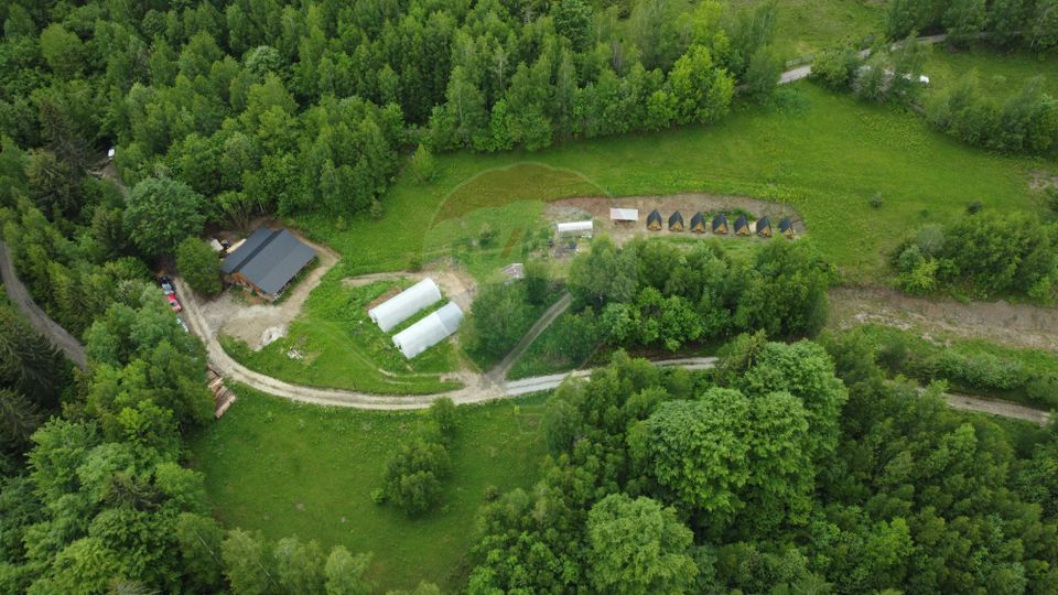 6,2 ha + business turistic activ | Munții Apuseni