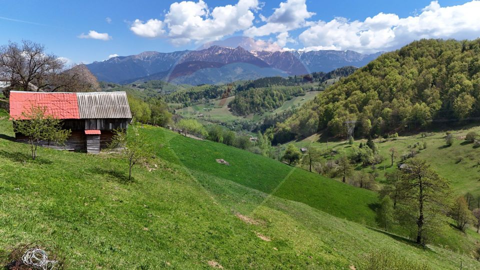 Peisaj spectaculos | Utilități ITeren intravilan Moieciu I Comision 0%