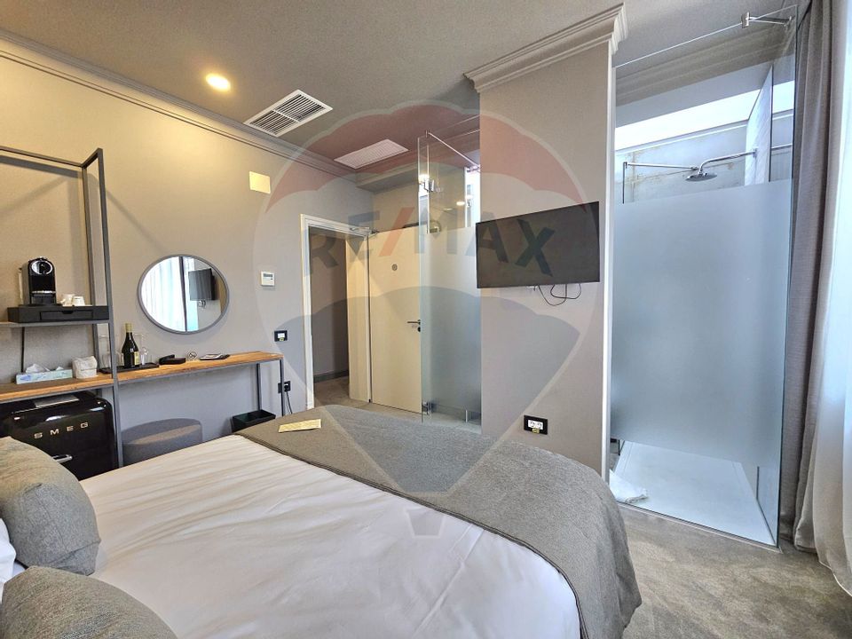 12 room Hotel / Pension for sale, Ultracentral area