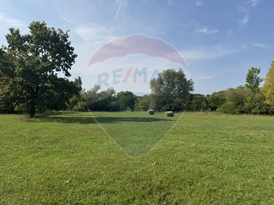 Teren 10.000 mp Calatele – Apuseni, langa rau, ideal investie turism