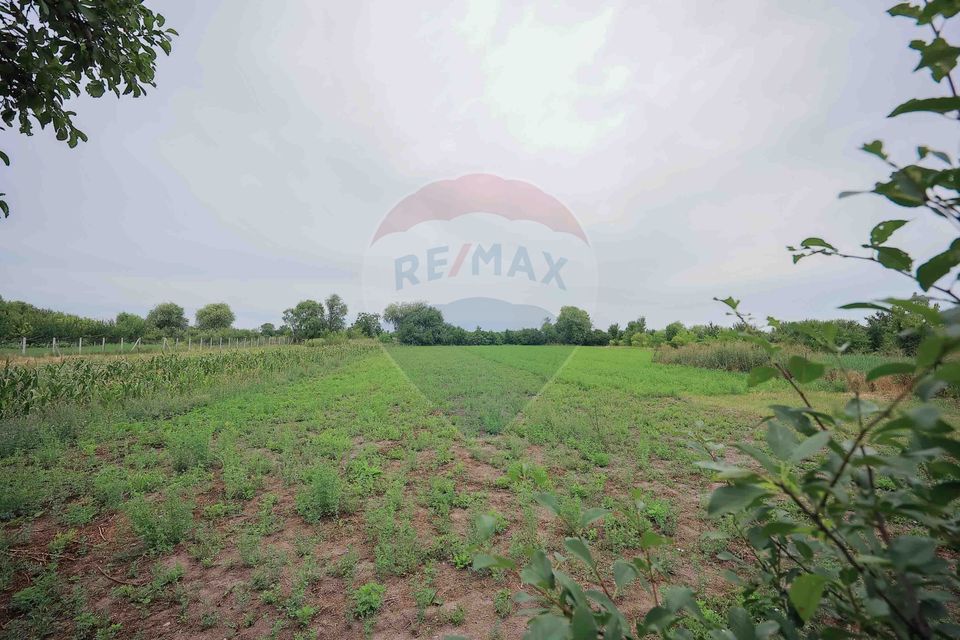 3 room House / Villa for sale