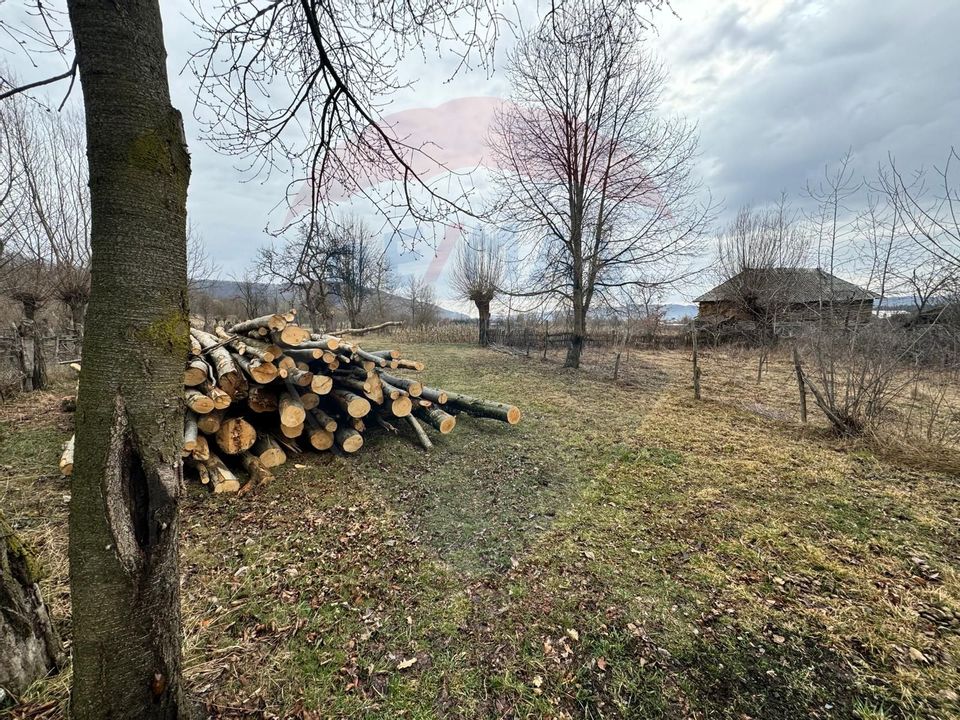 Teren generos in Aninoasa, înconjurat de natura