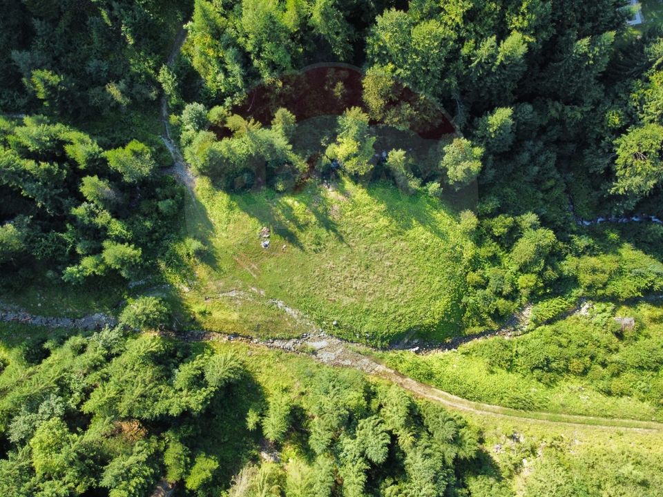 Teren 2,895mp Strada Priseci acces auto in zona telecabina BORSA