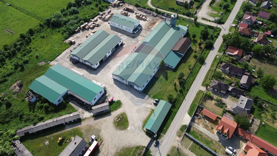 Hale de vanzare-ideale pentru depozit sau productie