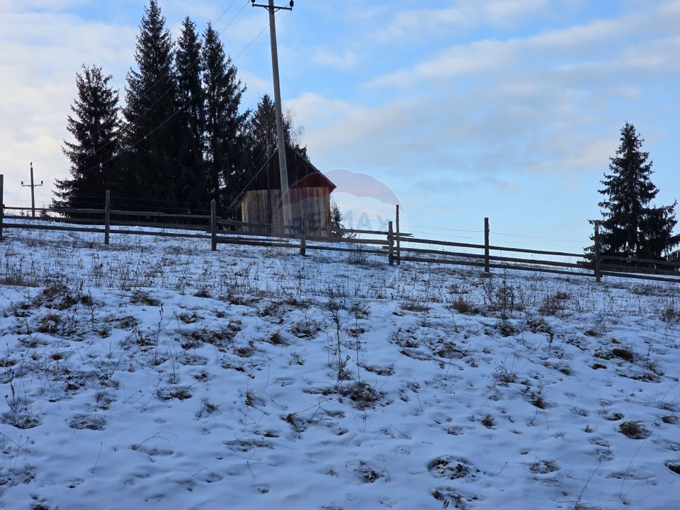 Teren 2,833mp Vatra Dornei / None