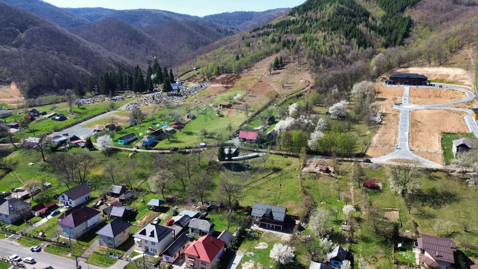 Land 1,106sqm Baia Mare / Strada Firiza