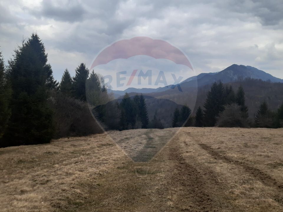 Teren Rasnov/ Soseaua Predealului DN73B