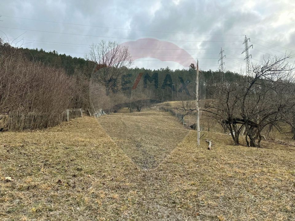 Land 2,000sqm Stejaru (Pangarati) / Strada Pârâului