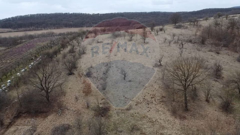 Land 1,654sqm Alba Iulia / Strada Lalelelor